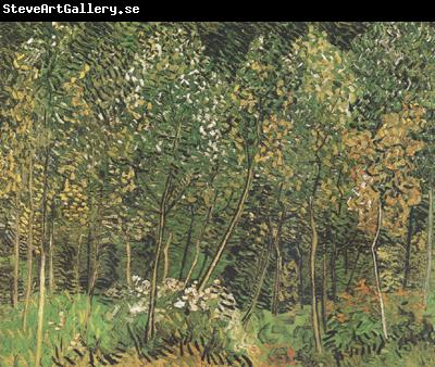 Vincent Van Gogh The Grove (nn04)